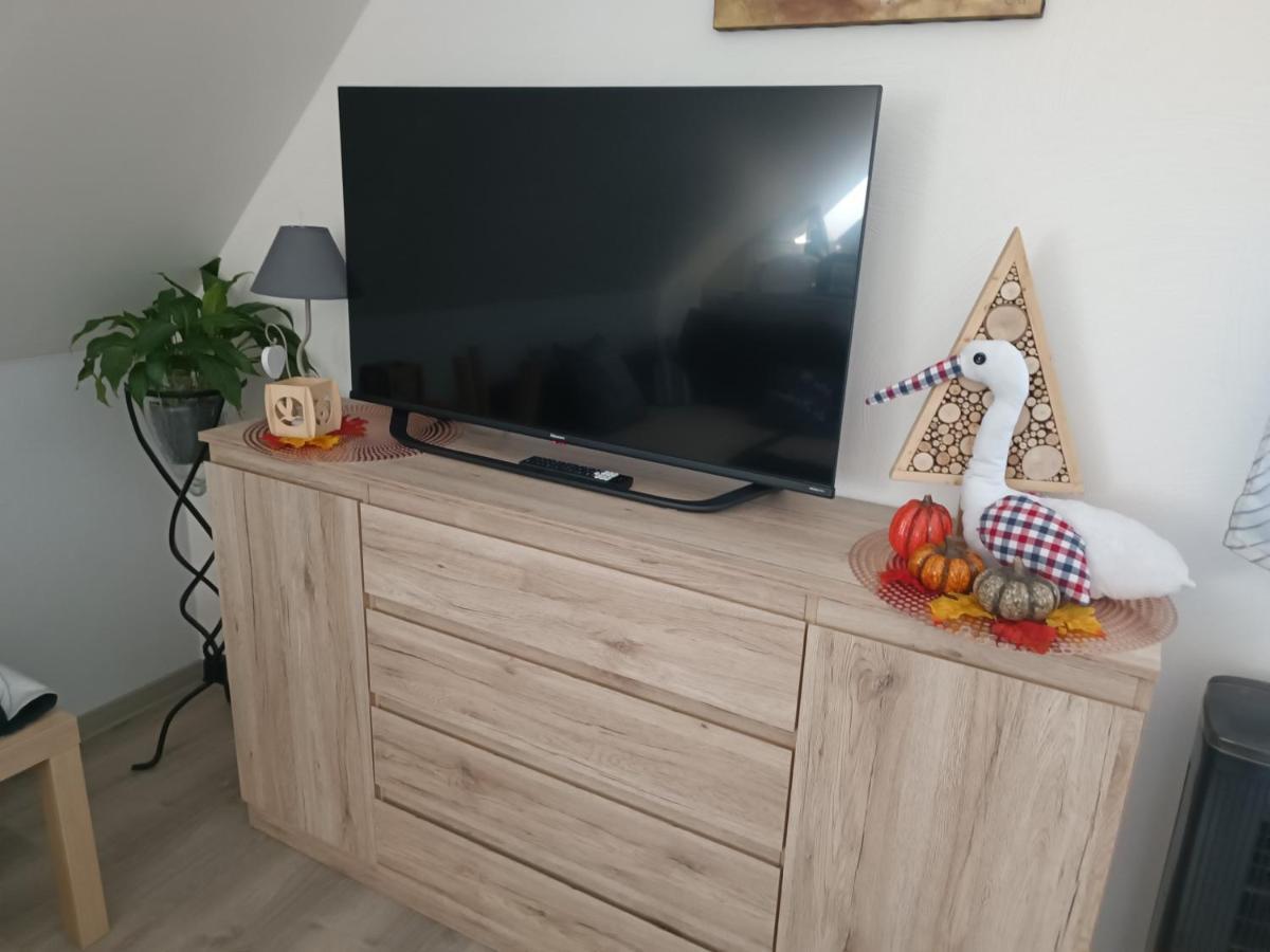 Au Fil Du Bonheur Studio Surbourg Ngoại thất bức ảnh
